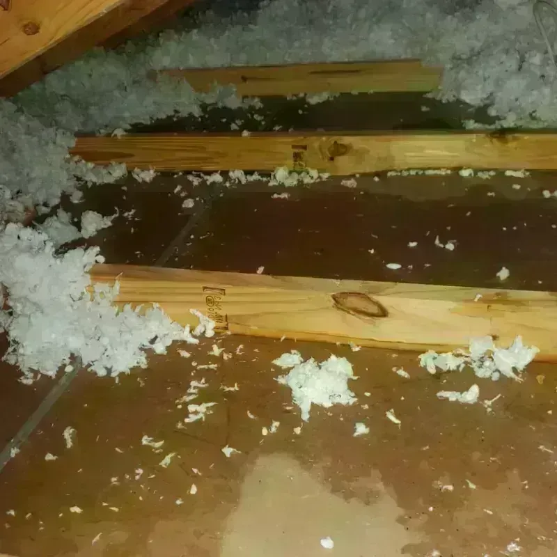 Attic Water Damage in Centerville, IA