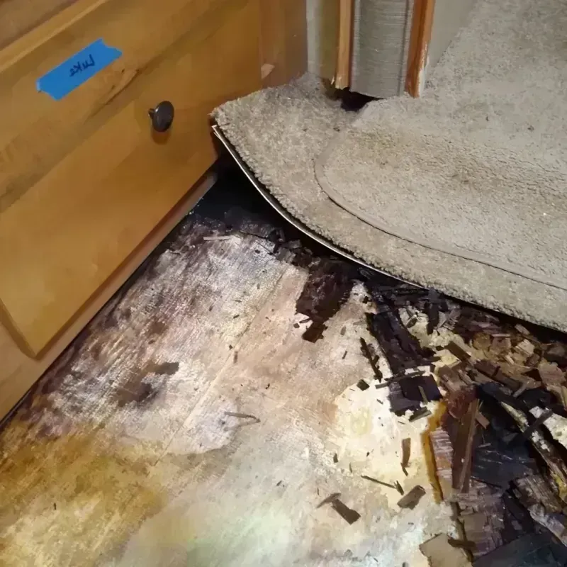 Best Wood Floor Water Damage Service in Centerville, IA